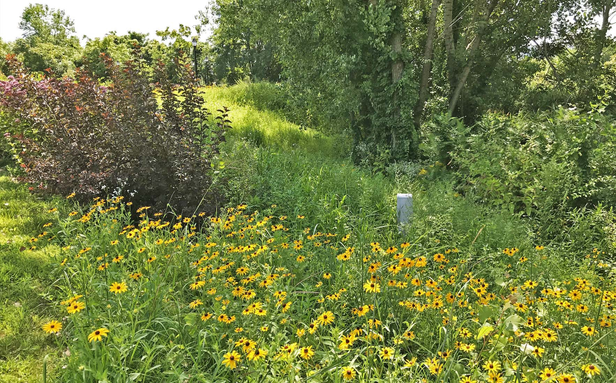 Shadley Associates Landscape Architecture: Everett Rivergreen Riverwalk