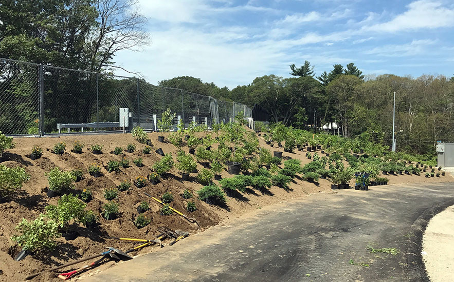 Shadley Associates Landscape Architecture: Highway Planting