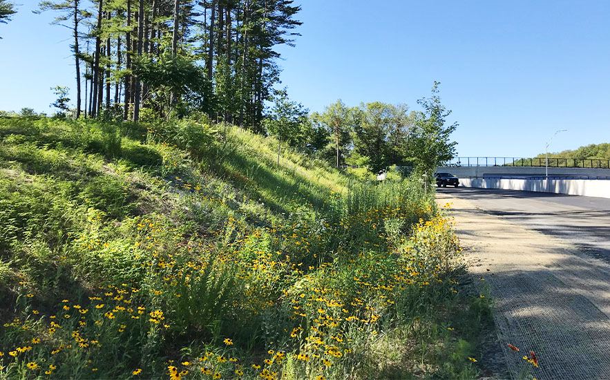 Shadley Associates Landscape Architecture: Highway Planting