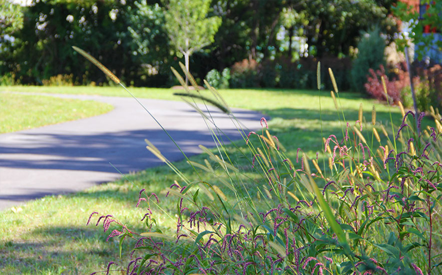 Shadley Associates Landscape Architecture: Everett Rivergreen Riverwalk